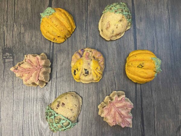 Dried Fruit and Nuts Thanksgiving Shape Cookies