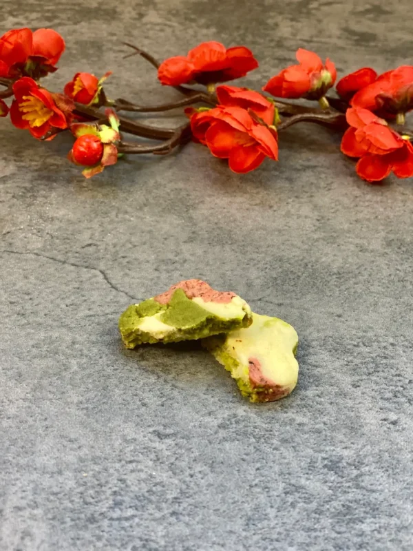 Chinese New Year Cookie Along With Flowers